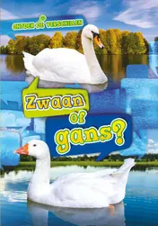 Omslag van Zwaan of gans?
