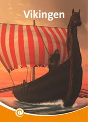 Omslag van Vikingen