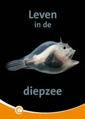 Omslag van Leven in de diepzee