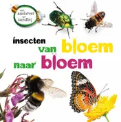 Omslag van Insecten van bloem tot bloem