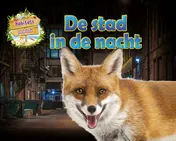 Omslag van De stad in de nacht