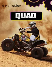 Omslag van Quad