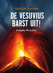 Omslag van De Vesuvius barst uit!