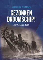 Omslag van Gezonken droomschip!