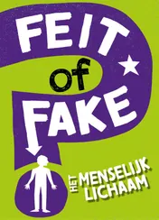 Omslag van Het menselijk lichaam