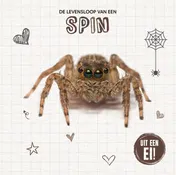 Omslag van De levensloop van een spin
