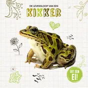 Omslag van De levensloop van een kikker