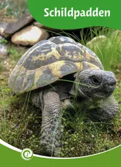 Omslag van Schildpadden