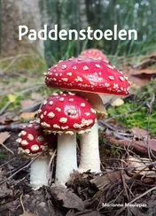 Omslag van Paddenstoelen