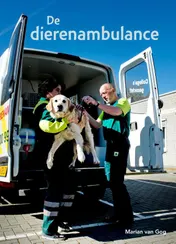 Omslag van De dierenambulance