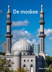 Omslag van De moskee