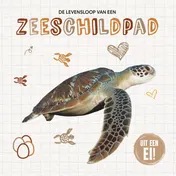 Omslag van De levensloop van een zeeschildpad