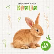 Omslag van Konijn