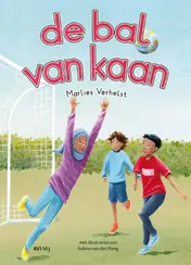 Omslag van de bal van kaan