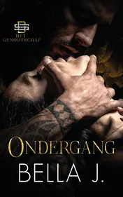 Omslag van Ondergang