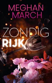 Omslag van Zondig rijk