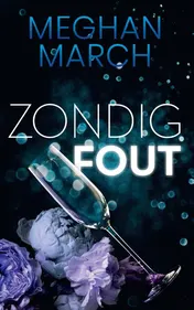 Omslag van Zondig fout