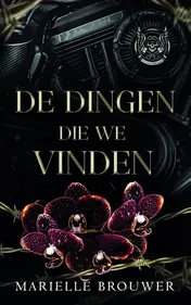 Omslag van De dingen die we vinden
