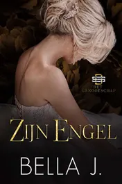 Omslag van Zijn engel