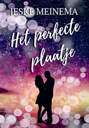 Omslag van Het perfecte plaatje
