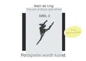 Omslag van 3
