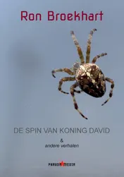 Omslag van De spin van koning David