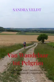 Omslag van Van Wandelaar tot Pelgrim