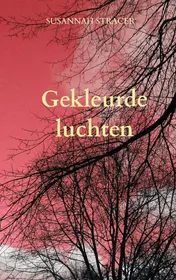 Omslag van Gekleurde luchten