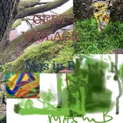 Omslag van Mos in B