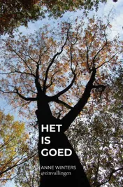 Omslag van Het is goed