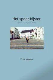 Omslag van Het spoor bijster
