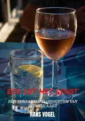 Omslag van Een lot met genot