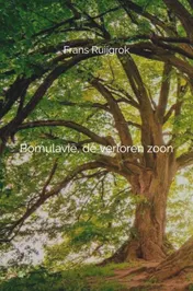 Omslag van Bomulavië, de verloren zoon #