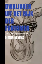 Omslag van Dwalingen uit het rijk der fantomen