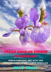 Omslag van Fraaie gehelen zonder te vervelen