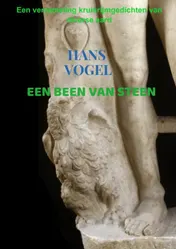 Omslag van Een been van steen