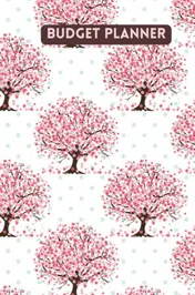 Omslag van Budget planner - Kasboek - Huishoudboekje - Budgetplanner : Law of Attraction Editie