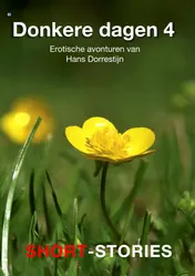 Omslag van 4