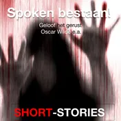 Omslag van Spoken bestaan!