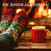 Omslag van De eindejaarsman