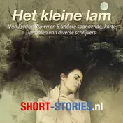 Omslag van Spannende verhalen