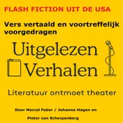 Omslag van Flash fiction uit de USA