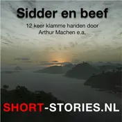 Omslag van Sidder en beef