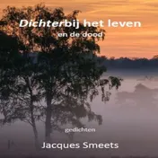 Omslag van Dichterbij het leven en de dood