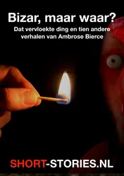 Omslag van Bizar, maar waar?