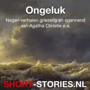 Omslag van Ongeluk