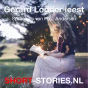 Omslag van Gerard Lodder leest Andersen