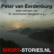 Omslag van Peter van Eerdenburg