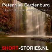 Omslag van Peter van Eerdenburg