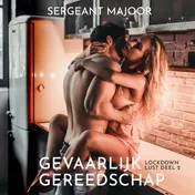 Omslag van Gevaarlijk gereedschap